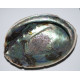 Abaloneschelp met bergkristal en hematiet om uw edelstenen te ontladen of opladen